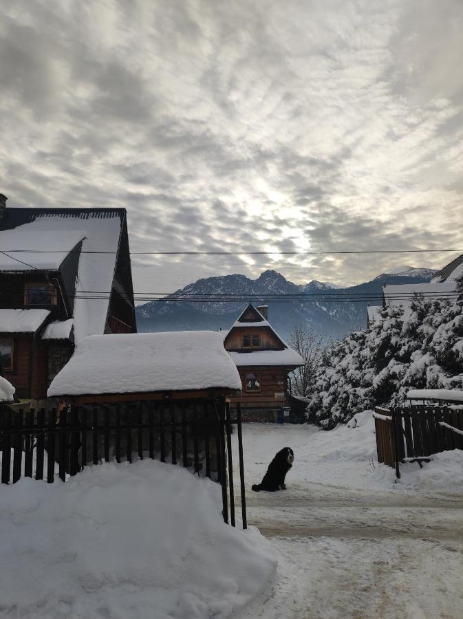 Apartamenty - Wymarzone Widoki Zakopane Esterno foto
